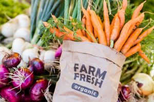 Why is organic food more sustainable?